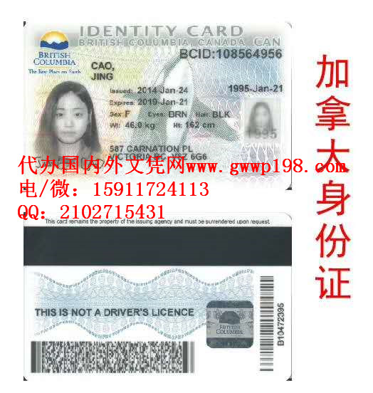 加拿大身份证