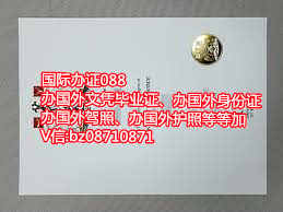 英国萨塞克斯大学毕业证文凭