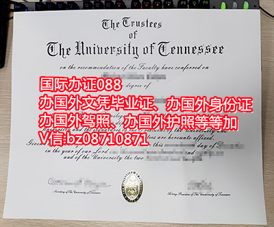 美国田纳西大学毕业证文凭