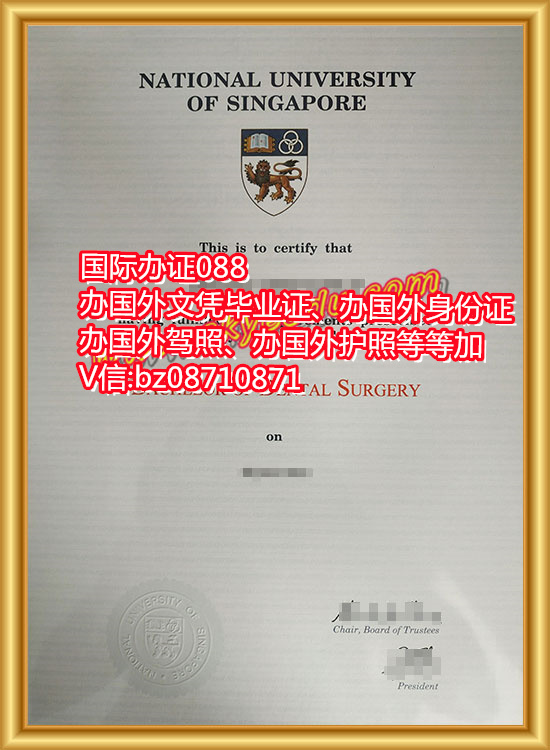 ¼¹ѧҵ֤National-University-of-Singapore-degreeN